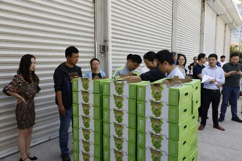 脫貧攻堅,電力先行