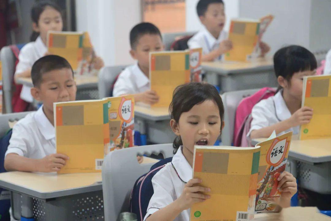 世相丨我們也上課啦!多圖直擊新會最后一批小學生返校