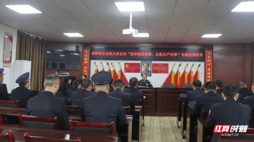 大祥公安 學習百年黨史 推進教育整頓