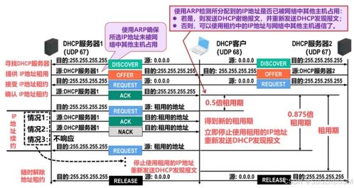 Windows系統(tǒng)管理基礎(chǔ) DHCP部署與安全及數(shù)據(jù)庫(kù)管理咨詢服務(wù)