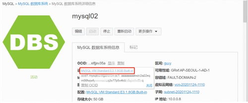 全面掌握甲骨文云 OCI MySQL 服務(wù) 從自動(dòng)運(yùn)維到高效管理的數(shù)據(jù)庫(kù)管理及咨詢實(shí)戰(zhàn)指南